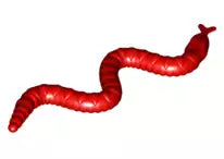 LEGO Tiere 30115 Schlange, rot