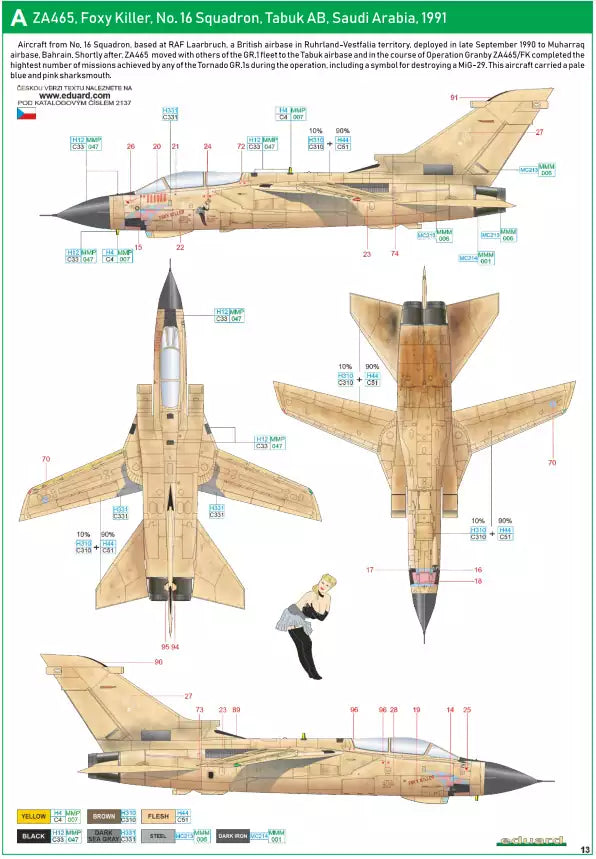 Eduard 2137 Desert Babes - Limited Edition, 1:72