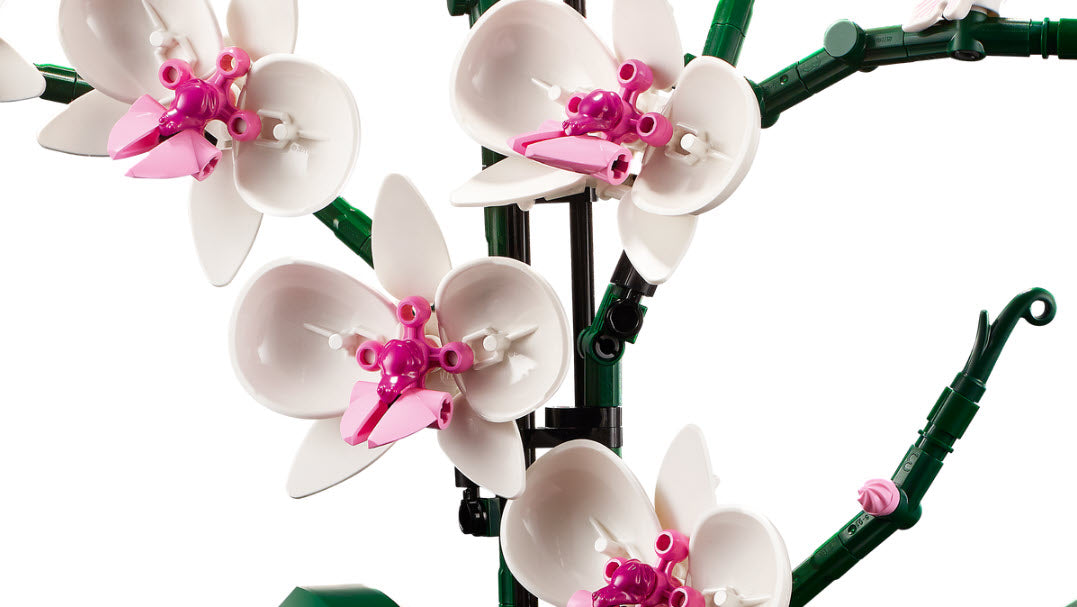 Detail 1: LEGO Icons 10311 Orchidee