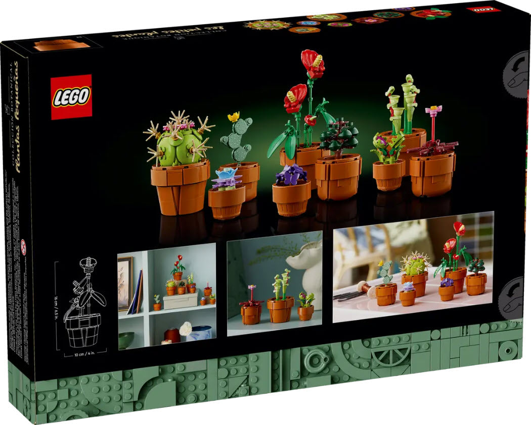 Box Rückseite: LEGO Icons 10329 Mini Pflanzen