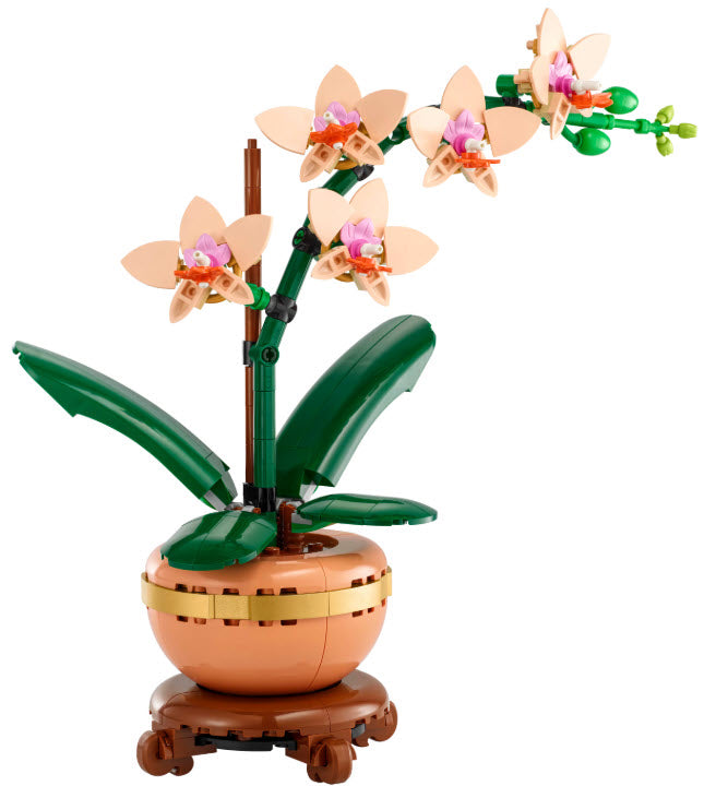 Inhalt: LEGO Botanicals 10343 Mini-Orchidee