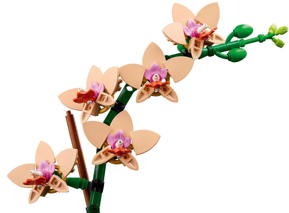 Detail 1: LEGO Botanicals 10343 Mini-Orchidee
