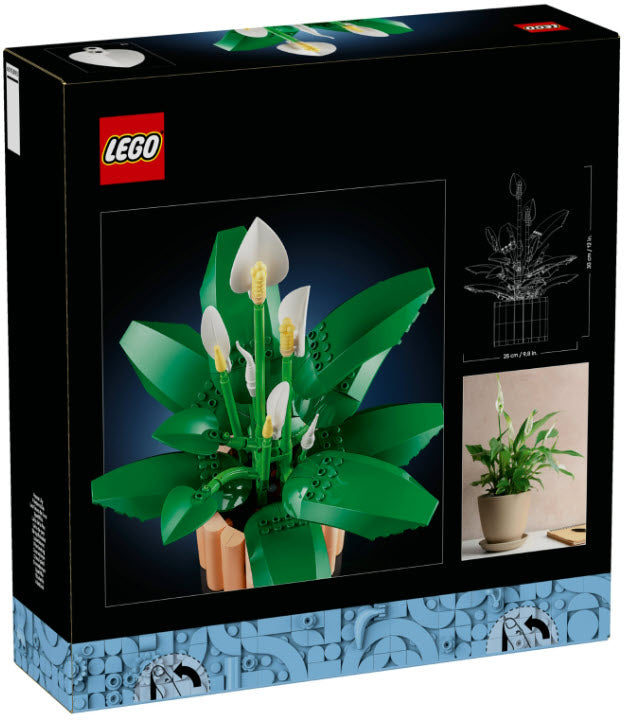 Box Rückseite: LEGO Botanicals 11504 Friedenslilie