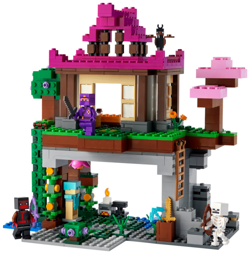 Inhalt: LEGO Minecraft 21183 Das Trainingsgelände