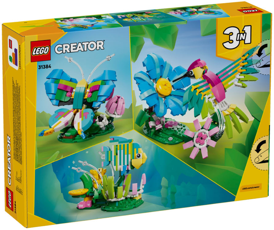 Box Rückseite: LEGO Creator 31384 Wilde Tiere: Bunter Kolibri