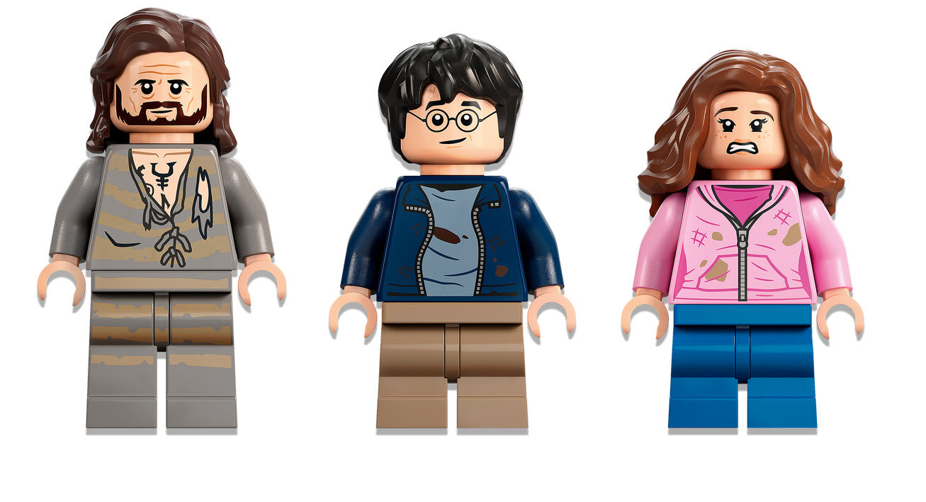 Minifiguren: LEGO Harry Potter 76401 Hogwarts: Sirius’ Rettung