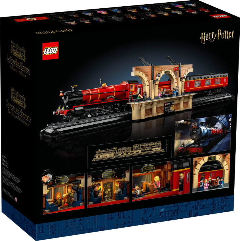 Box Rückseite: LEGO Harry Potter 76405 Hogwarts Express – Sammleredition
