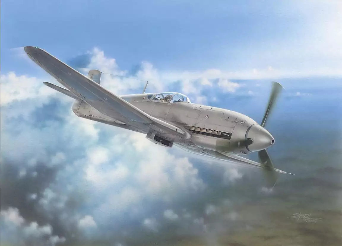 Special Hobby SH32045 Heinkel He 100D Soviet and Japanese Plane, 1:32