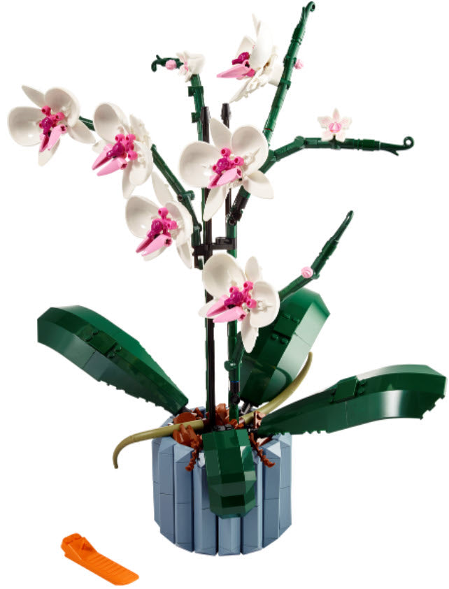 Inhalt: LEGO Icons 10311 Orchidee