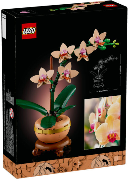 Box Rückseite: LEGO Botanicals 10343 Mini-Orchidee