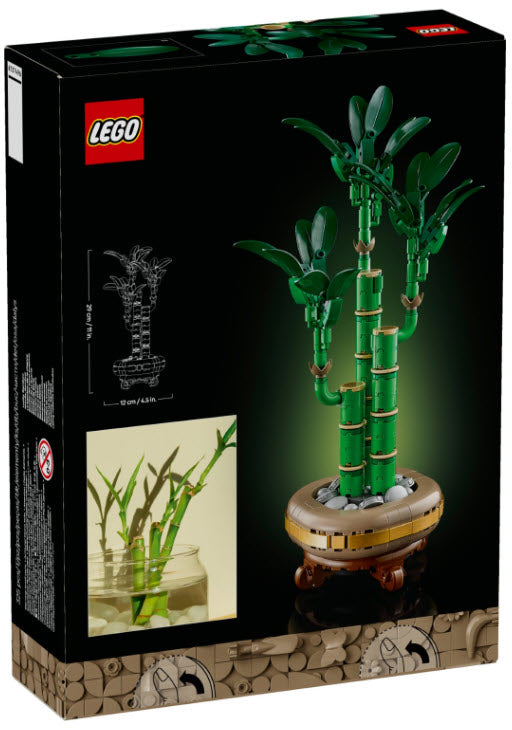 Box Rückseite: LEGO Botanicals 10344 Glücks-Bambus
