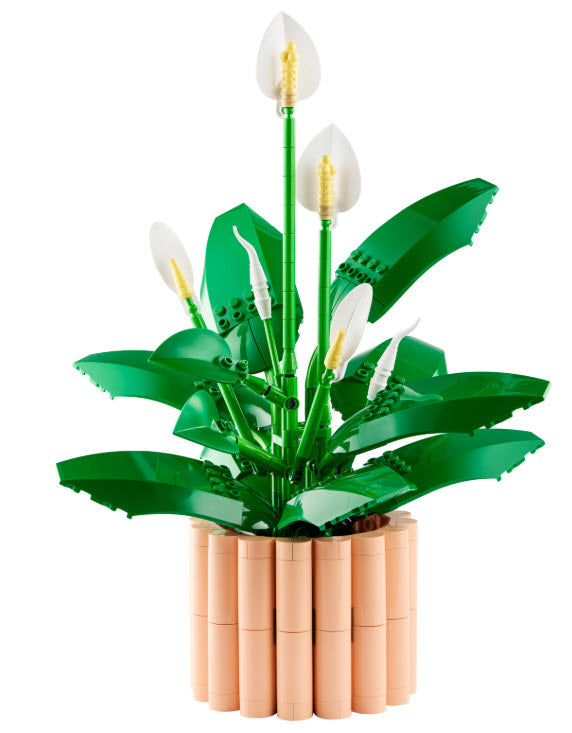 Inhalt: LEGO Botanicals 11504 Friedenslilie