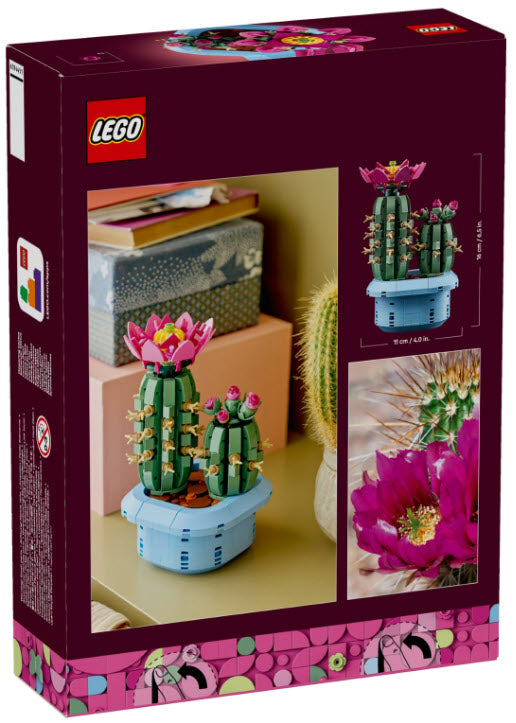 Box Rückseite: LEGO Botanicals 11509 Blühender Kaktus