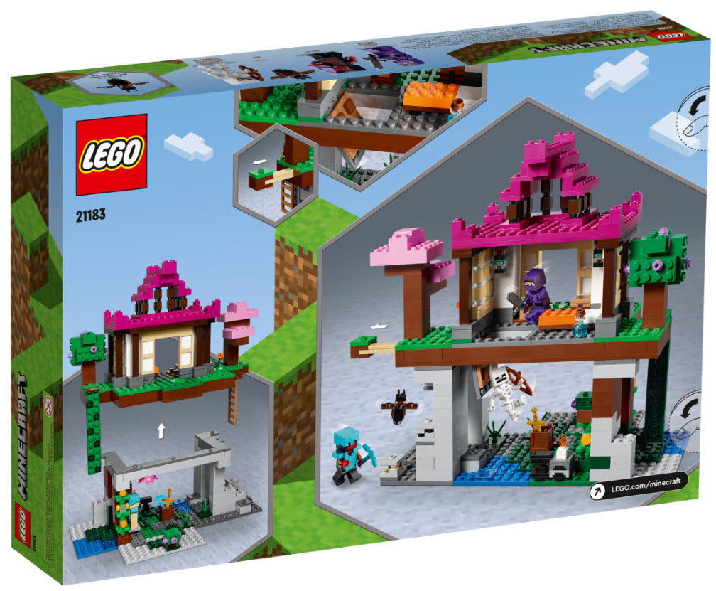 Box Rückseite: LEGO Minecraft 21183 Das Trainingsgelände