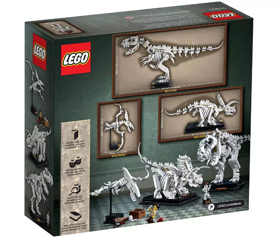 Box Rückansicht: LEGO Ideas 21320 Dinosaurier-Fossilien