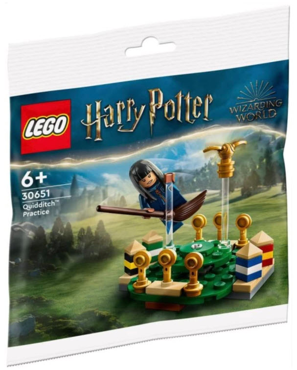 LEGO Harry Potter 30651 Quidditch Training