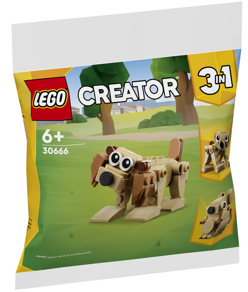 LEGO Creator 30666 Geschenkset mit Tieren