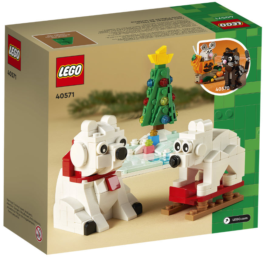 Box Rückansicht: LEGO 40571 Eisbären im Winter