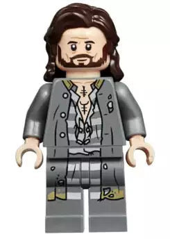 LEGO Harry Potter hp174 Minifigur "Sirius Black"